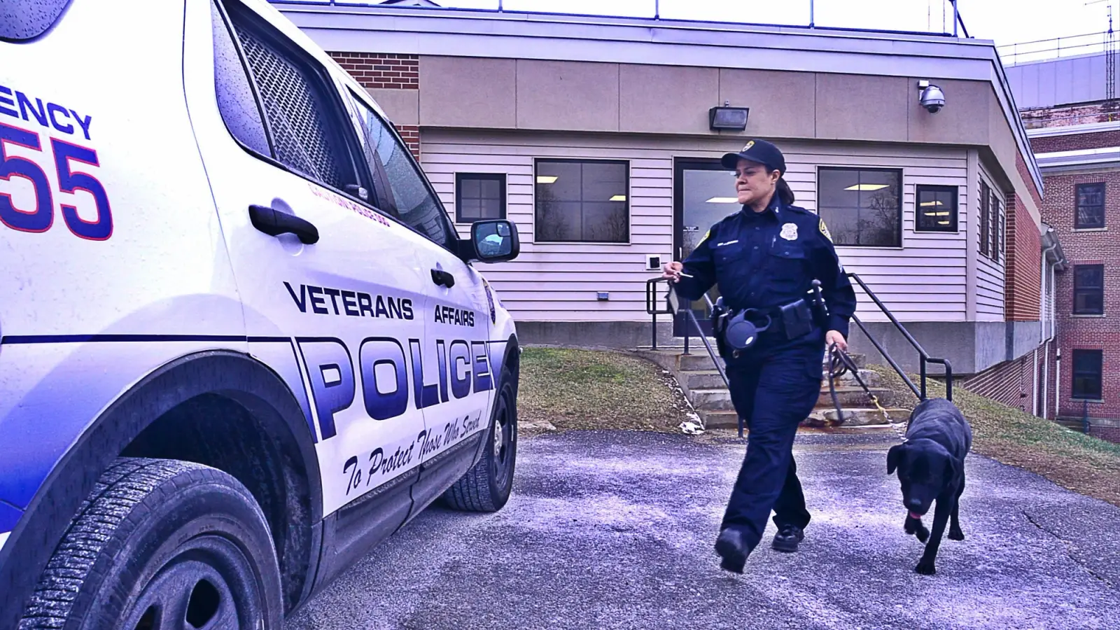 A female VA cop walks to her police car with a police dog.