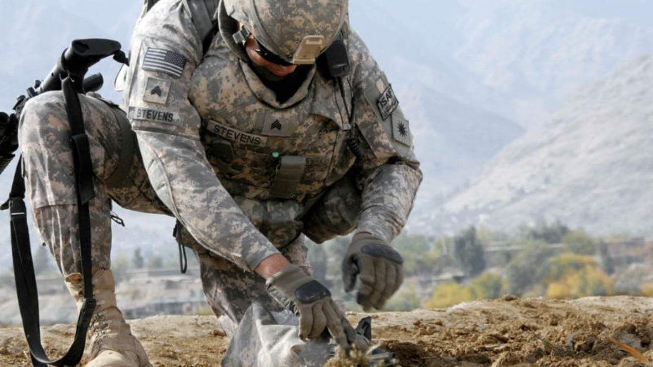 Explore Career Options Through the Military Veterans Agricultural Liaison