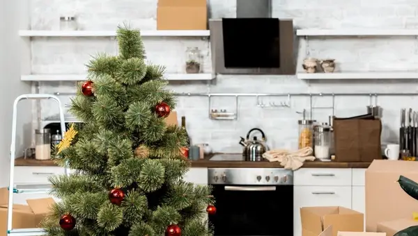 PCS Tips: Moving for Military Families in December