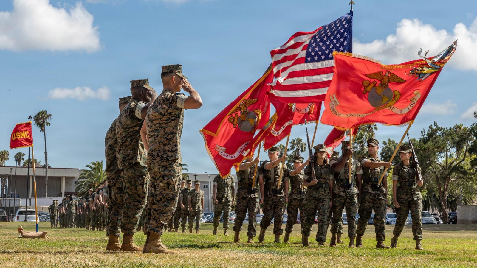 Soldiers salute a color guard.