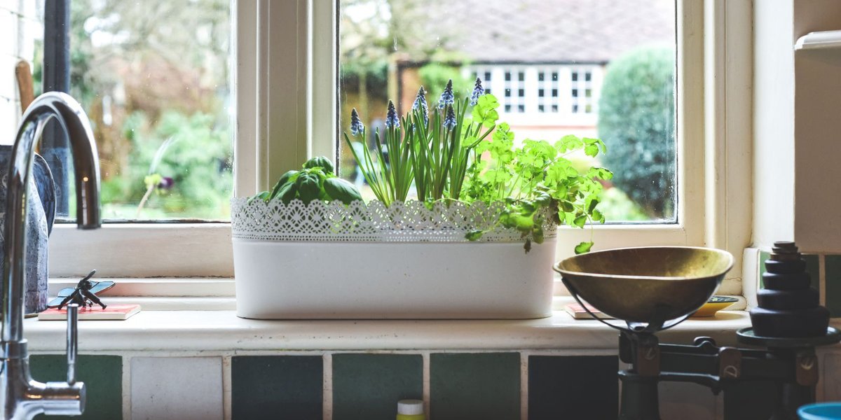 5 Tips for Your On-Base Window Garden