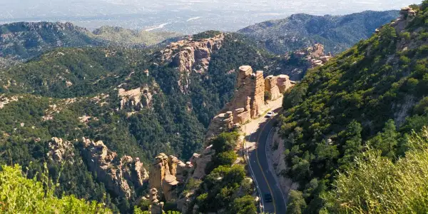 Mt. Lemmon Is a Great Place To Explore Year-Round