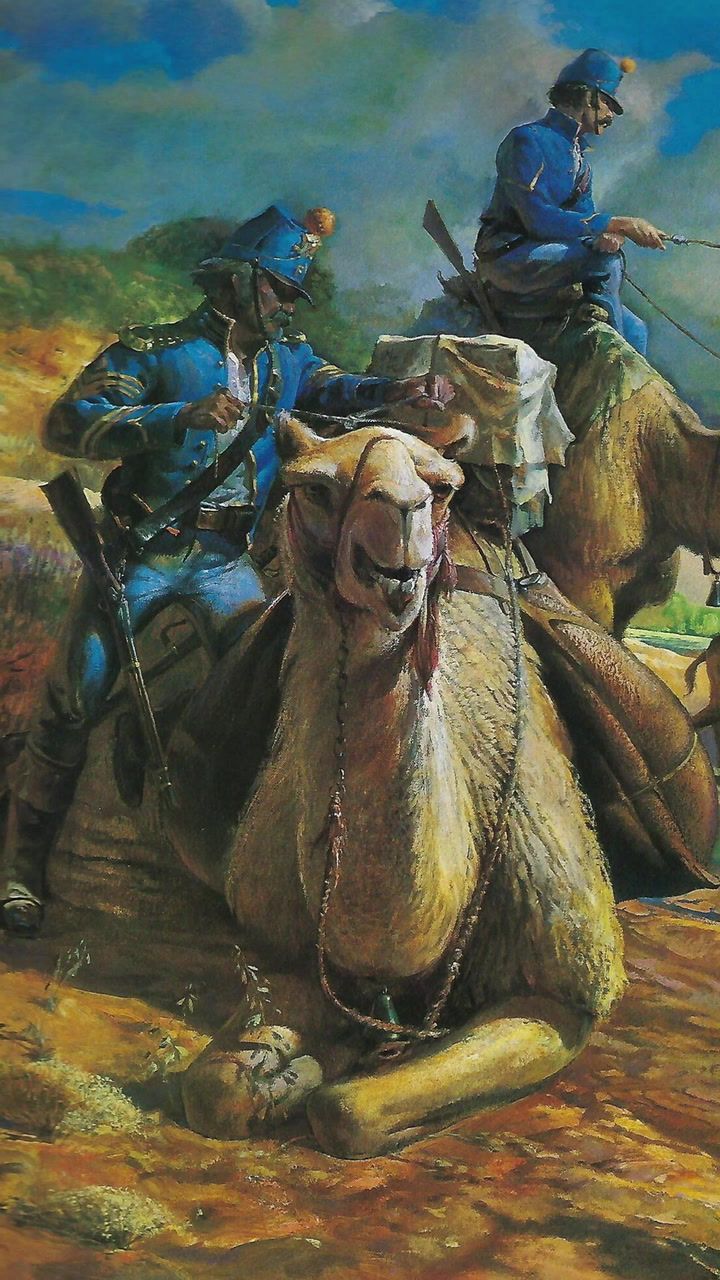 The U.S. Army's Forgotten Camel Corps: When Camels Served in the American Southwest