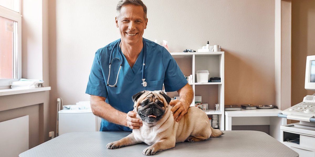 Explore Minot AFB Vet & Animal Care Services for Your Furry Friend