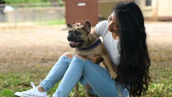 Everything You Need to Know About Military PCS Pet Reimbursement