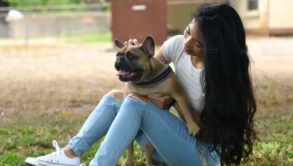 Everything You Need to Know About Military PCS Pet Reimbursement