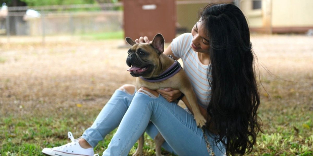 Everything You Need to Know About Military PCS Pet Reimbursement