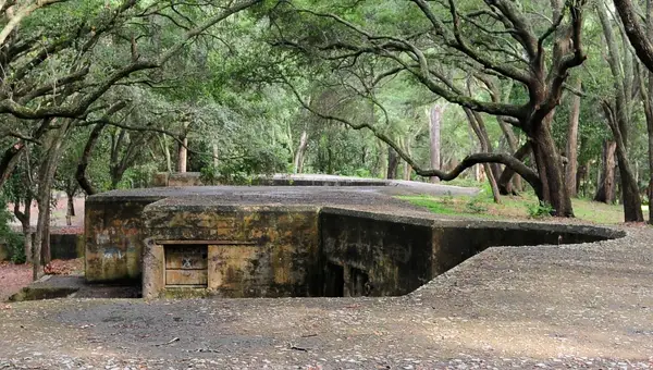 25+ Things to Do Near MCRD Parris Island in Port Royal, Beaufort, and More!