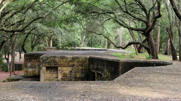 25+ Things to Do Near MCRD Parris Island in Port Royal, Beaufort, and More!