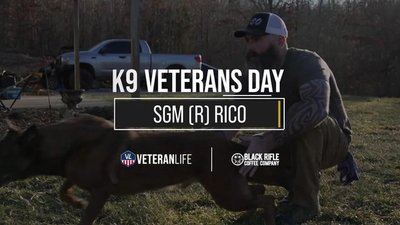 K9 Veterans Day: Thank You To Our Four-Legged Heroes Like Rico The Malinois