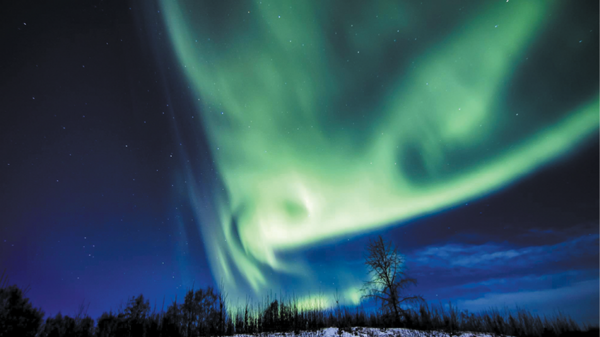 101 Things to Do in Alaska