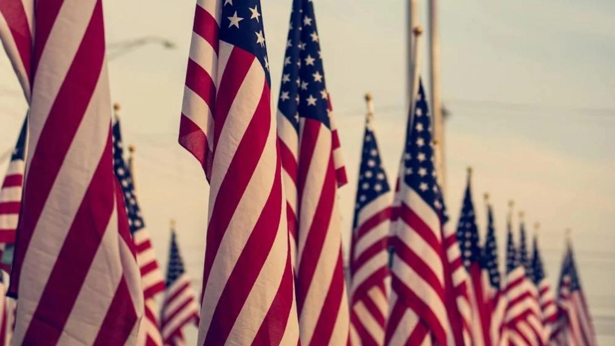 Rows of American flags displayed prominently at a Veterans Day event.