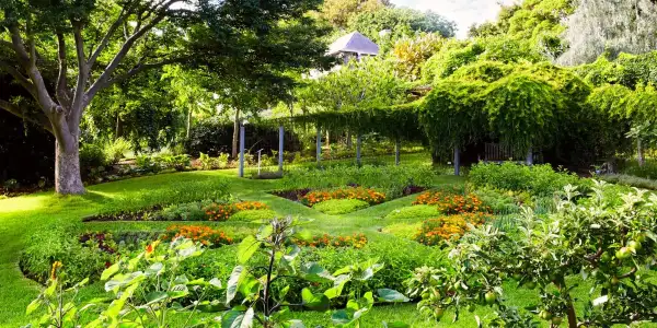 Heronswood Garden Continues To Grow Near NB Kitsap
