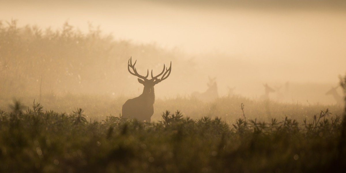 Why Hunters and Fishermen Should Sign Up for iSportsman Fort Benning