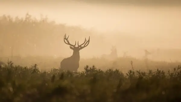 Why Hunters and Fishermen Should Sign Up for iSportsman Fort Benning