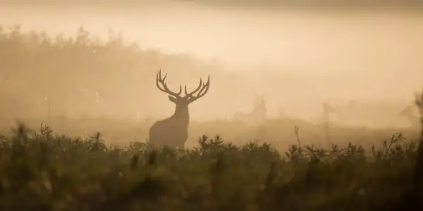 Why Hunters and Fishermen Should Sign Up for iSportsman Fort Benning