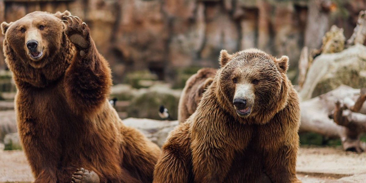 Why the Alaska Zoo Near JBER Is One of the Nation's Most Unique Zoos