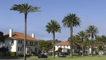 Government Housing