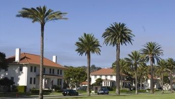 Government Housing