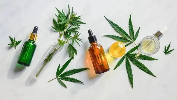 CBD vs THC: Natural Solutions for Veteran Health