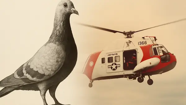 Project Sea Hunt: Pigeons Aid U.S. Coast Guard Rescues