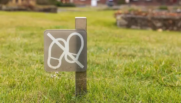 Unusual US Military Rules: A Closer Look