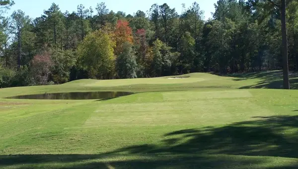 25+ Things to Do Near Fort Gordon in Augusta, Savannah & More!