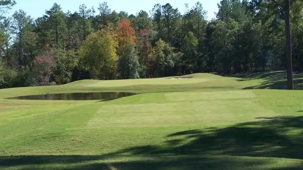 25+ Things to Do Near Fort Gordon in Augusta, Savannah & More!