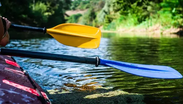 Enjoy the Outdoors at the Sesquicentennial State Park