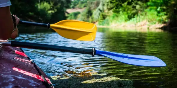 Enjoy the Outdoors at the Sesquicentennial State Park