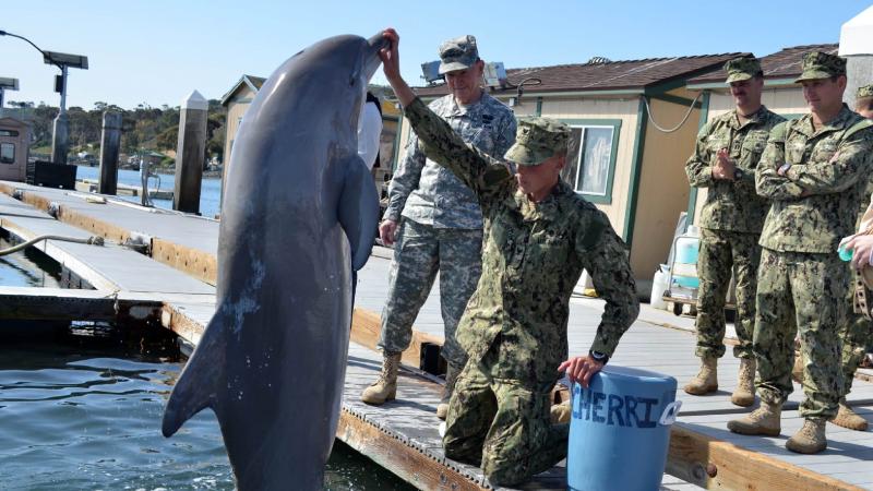 VeteranLife article