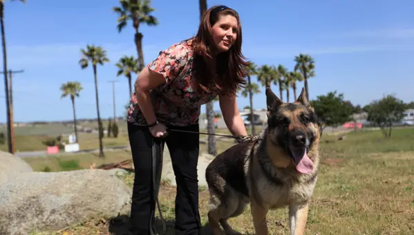 These 7 Movies About Military Dogs Are Perfect For Animal Lovers