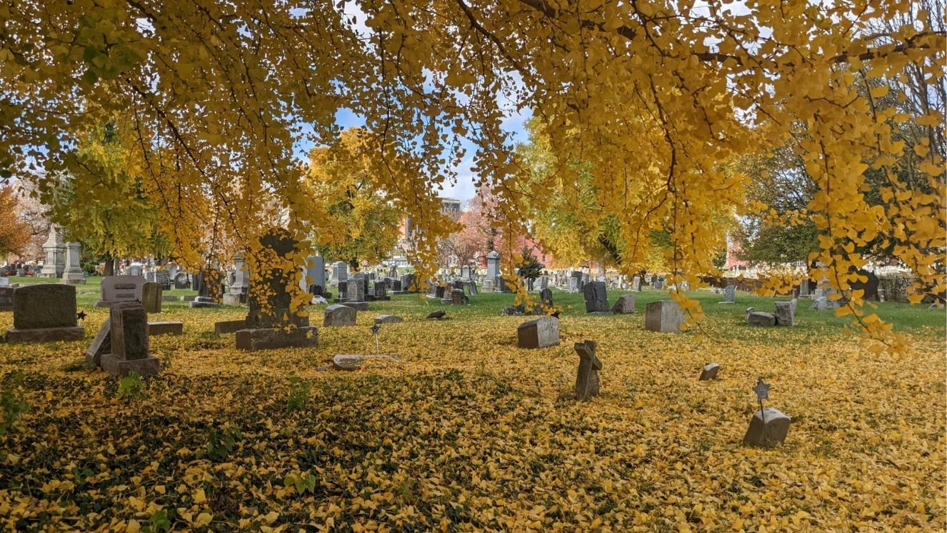 lancaster cemetery