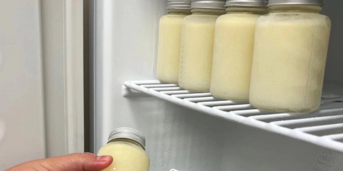 Breast milk storage jars on refrigerator shelf, hand placing one jar.