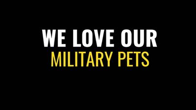 Military Pet Transportation and Care Guide