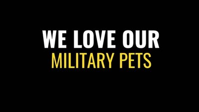 Military Pet Transportation and Care Guide