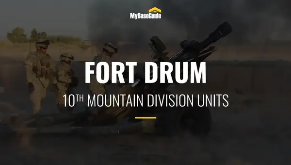 10th Mountain Division (LI) Units