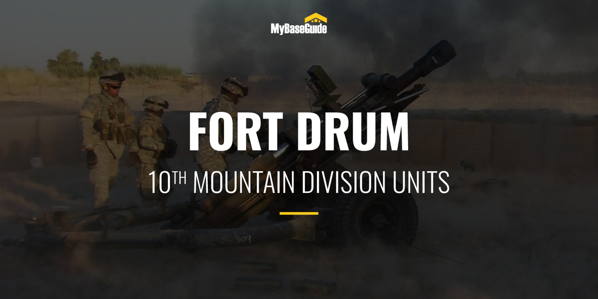 10th Mountain Division (LI) Units