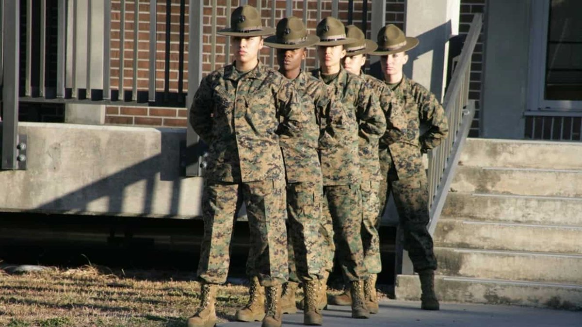 Report Advises Putting Women Into Marine Platoons in Recruit Training