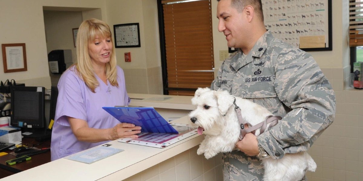 Have Pets in the Military? Military Pet Insurance Is a Must