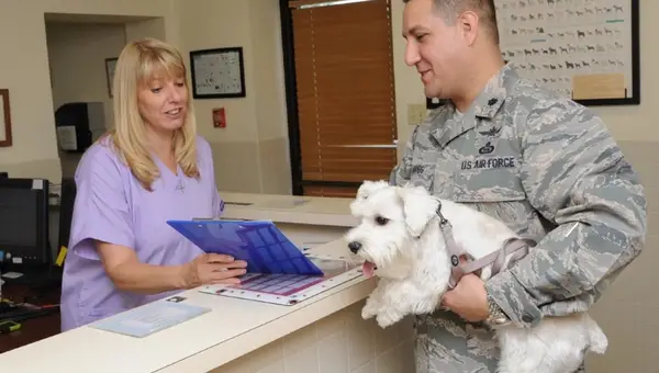 Have Pets in the Military? Military Pet Insurance Is a Must