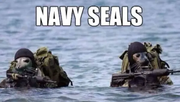 Navy Life: The Funniest High Seas Memes Explained