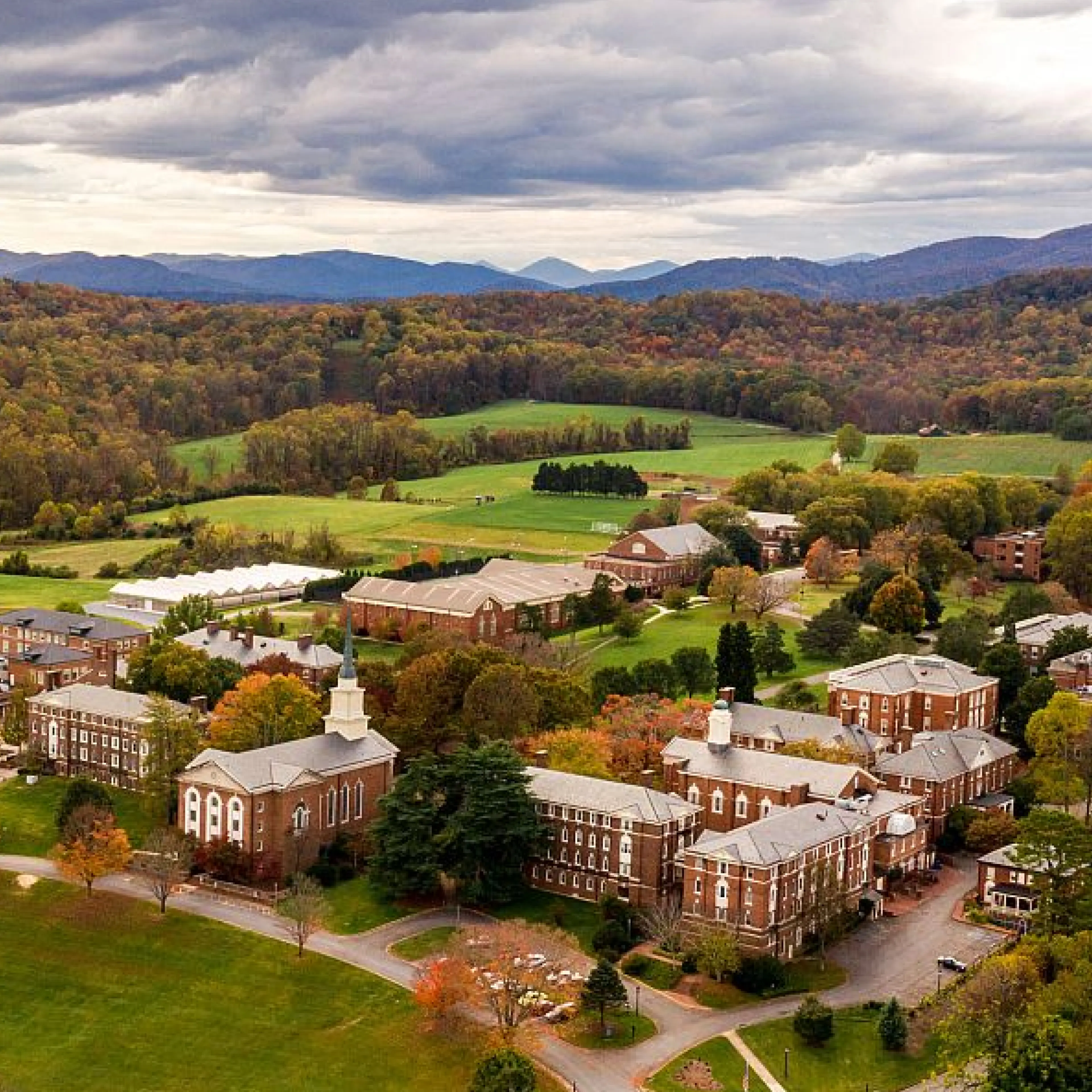Sweet Briar