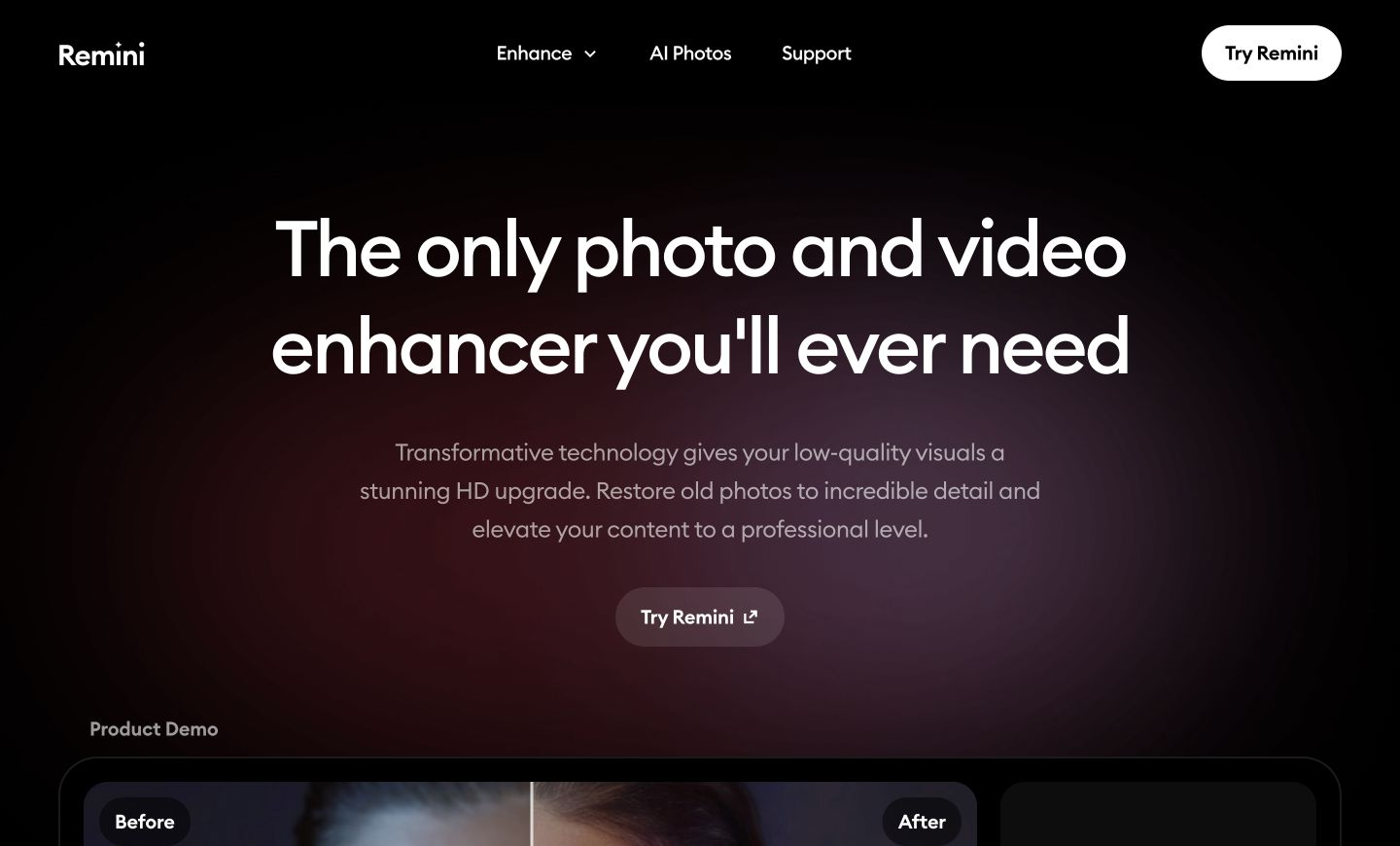 Remini official product page showing the vendor identity, navigation, and main product proposition.