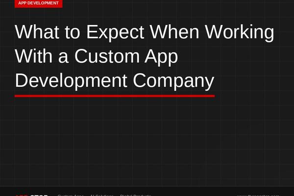 What to Expect When Working With a Custom App Development Company