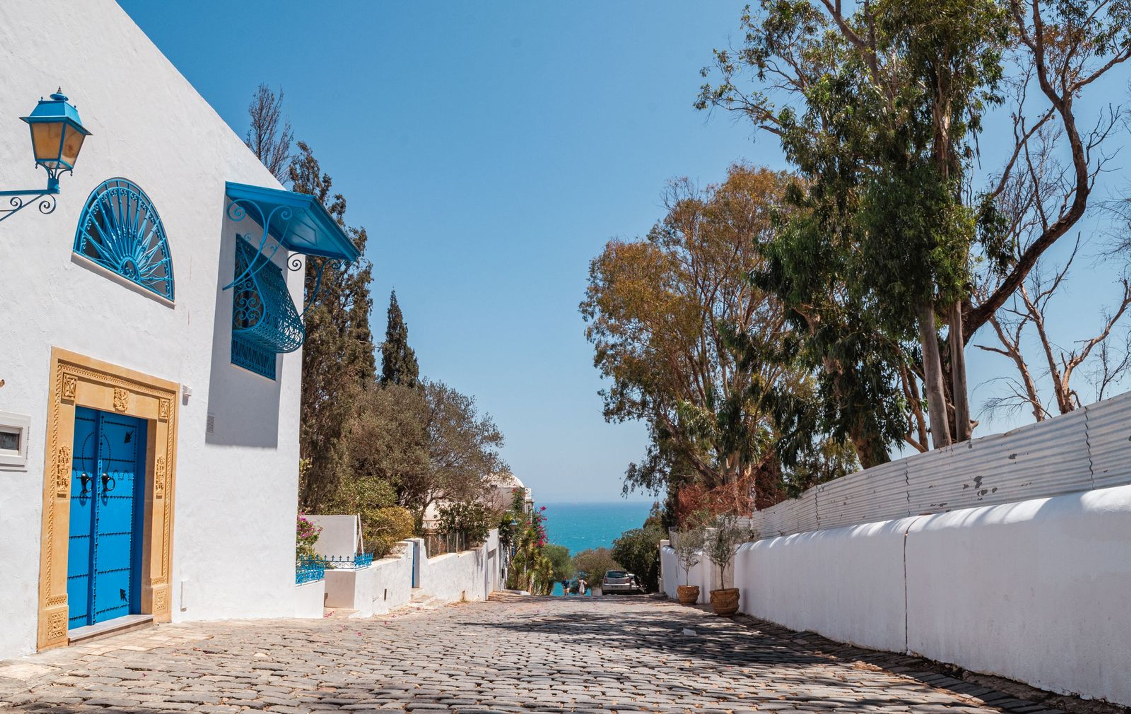 Une ruelle pavée tranquille à Sidi Bou Saïd
