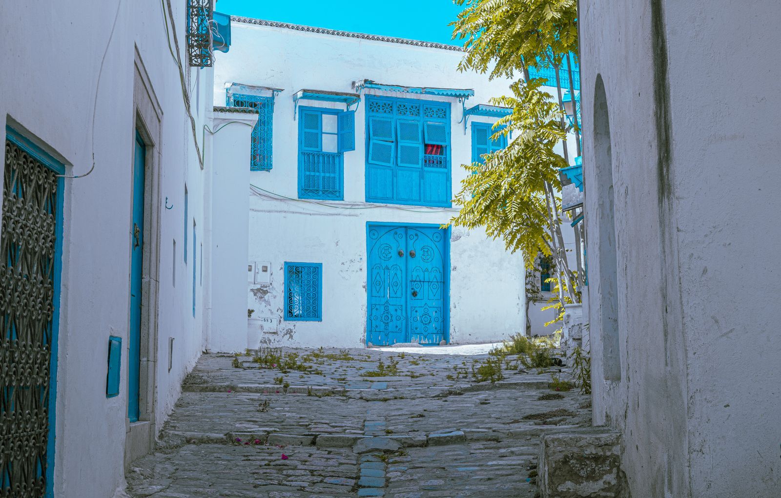 Maisons bleues et blanches de Sidi Bou Saïd au-dessus de la mer
