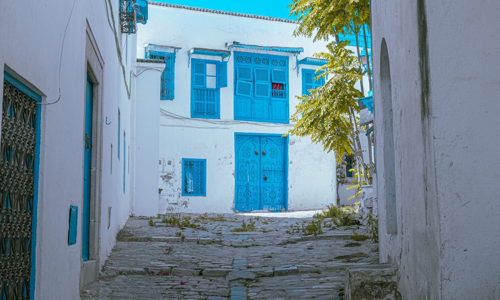 Maisons bleues et blanches de Sidi Bou Saïd au-dessus de la mer
