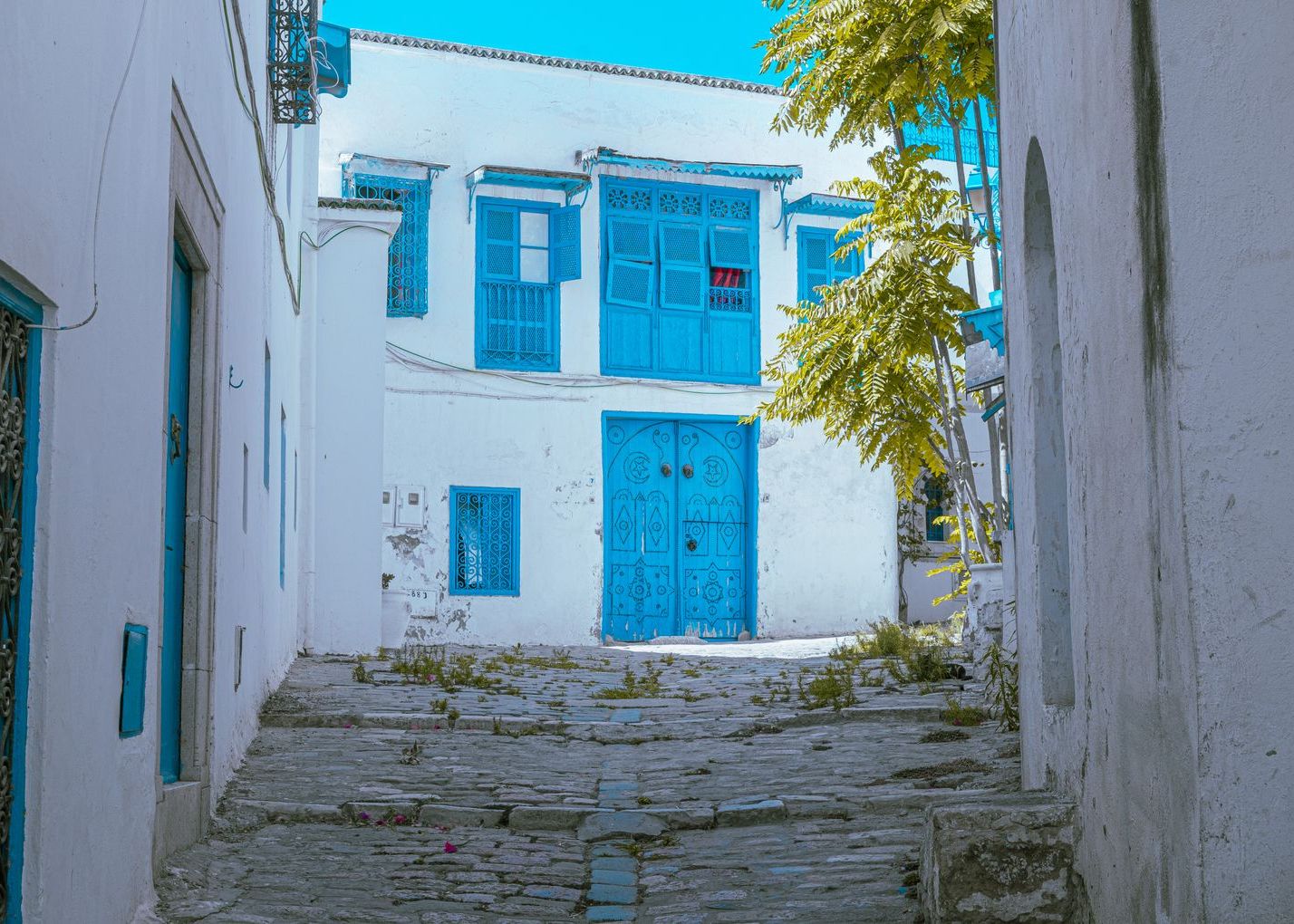 Maisons bleues et blanches de Sidi Bou Saïd au-dessus de la mer