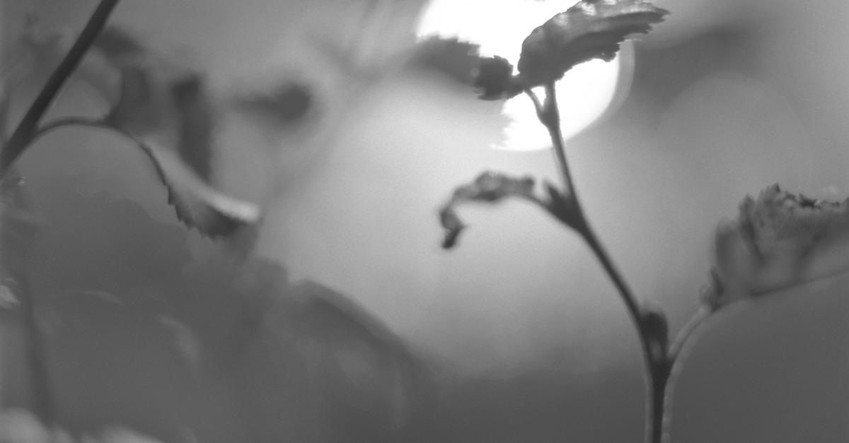 Sam Laughlin Residency reflections: Sam Laughlin | Connecting Threads
